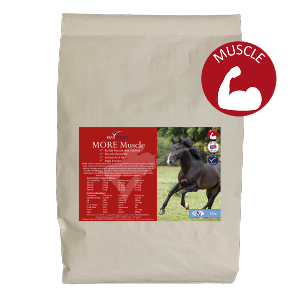 MORE Muscle A high protein horse feed