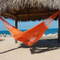 Tangerine -  
