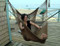 Stretch out in our soft and comfy polyester hanging chair. This is Earth Tone. 