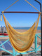 Lemon Costa Rican style swing