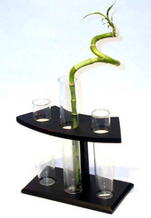 Boon Decor Bud Vase with Trio Glasses