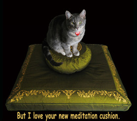 Boon Decor Meditating Cat Not For Sale