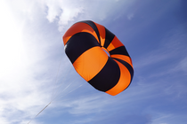 【WONDER WONDER】QYA Glossy Shirring Parachute Cut Wide PT Fruity Chute Iris Ultra 84