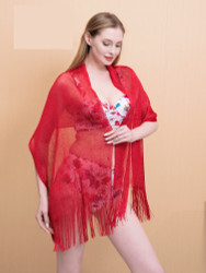 Shimmer and Shine Fringed Scarf Red