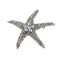 Dazzling Crystal Starfish Brooch