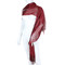 Shimmer and Shine Fringed Scarf Burgundy
