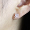 Cubic Zirconia Flower Stud Earrings Silver Post Rose Gold