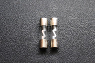 2 PACK 40 AMP AGU FUSE FUSES NICKEL PLATED INLINE GLASS CAR 1 7/16 x 3/8 AGU40