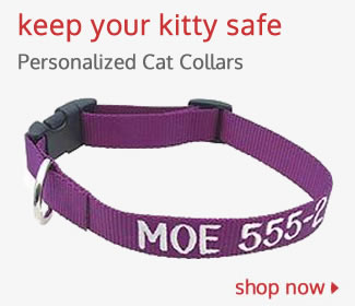 decorative cat collars