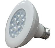11W LED PAR38 Economic Lamp