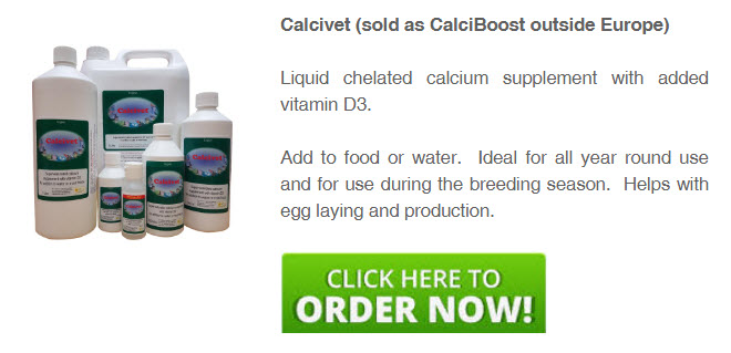 calcivet-order-online-today.jpg