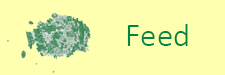 feed-2019.png feed-2019.png