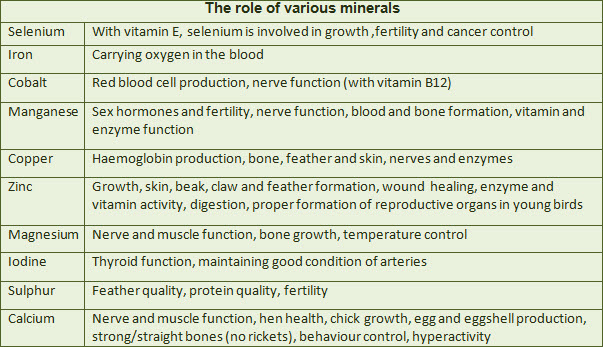 Vitamin Function Chart