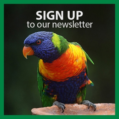 hp-newsletter-signup-405x405.jpg hp-newsletter-signup-405x405.jpg