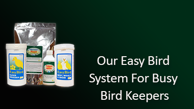 our-easy-bird-400x225.png