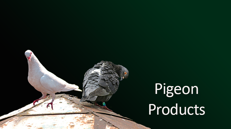 pigeon-products.png