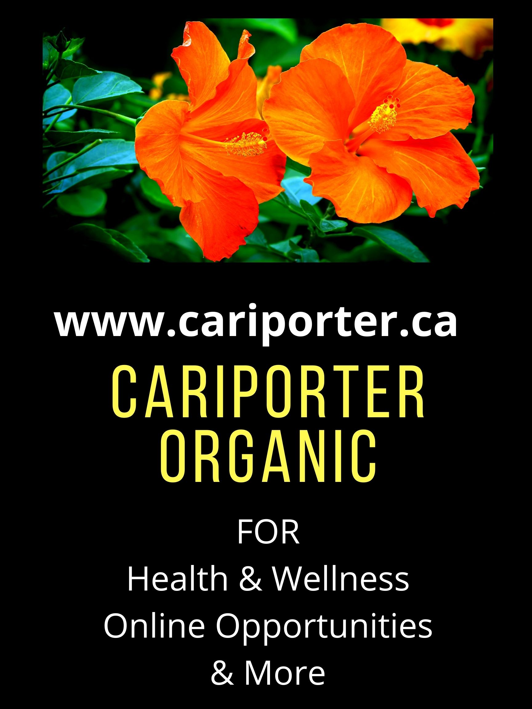 cariporter-poster.jpg