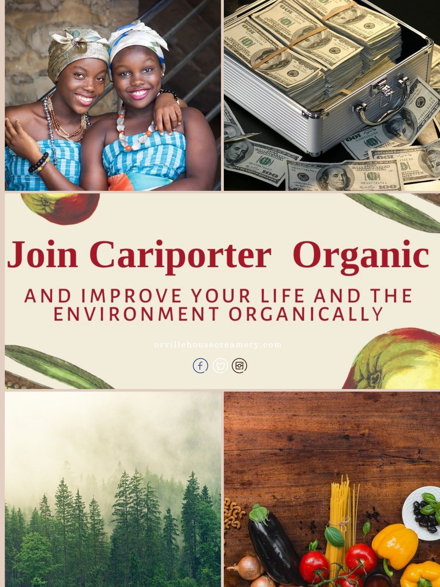 cariporter-subscription.jpg