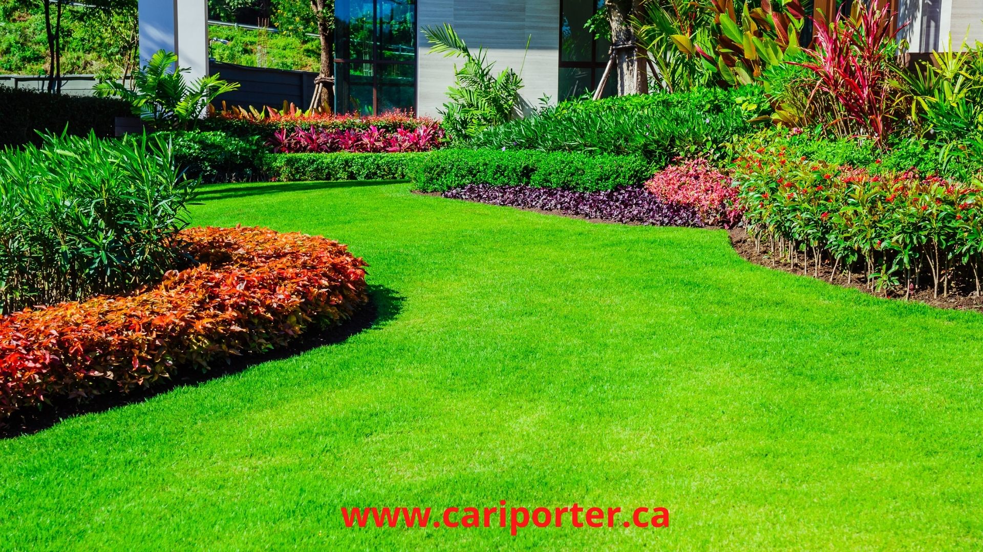front-yard-lawn-cariporter.jpg