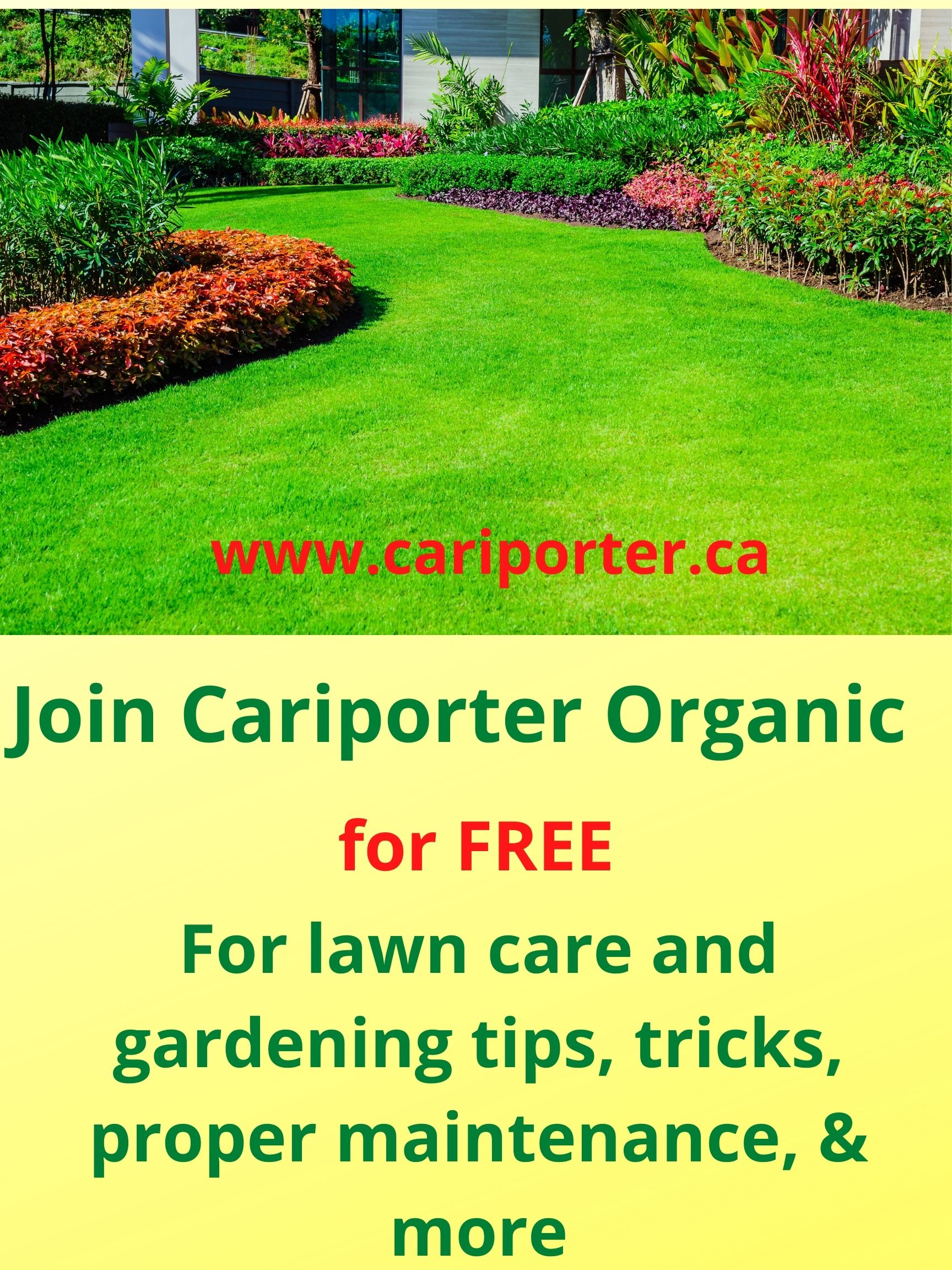 join-cariporter-organic-for-free.jpg