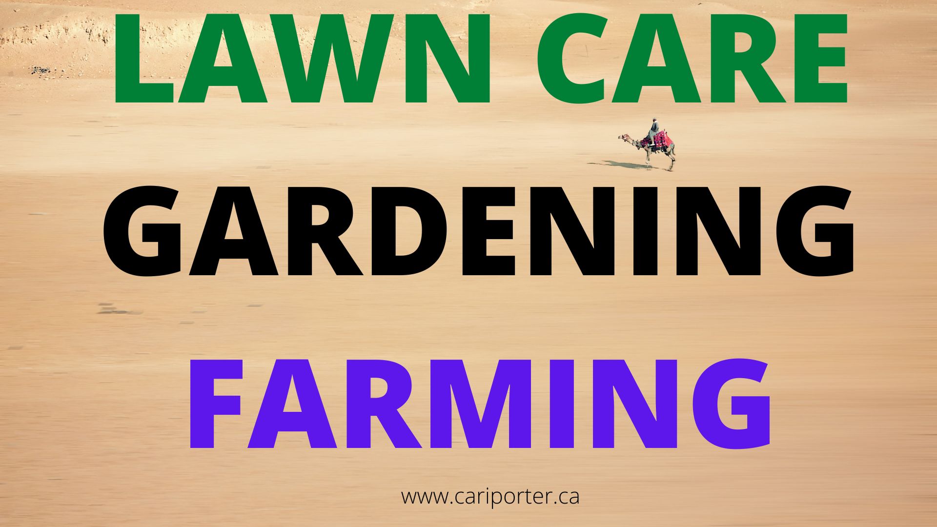 lawn-garden-farming.jpg