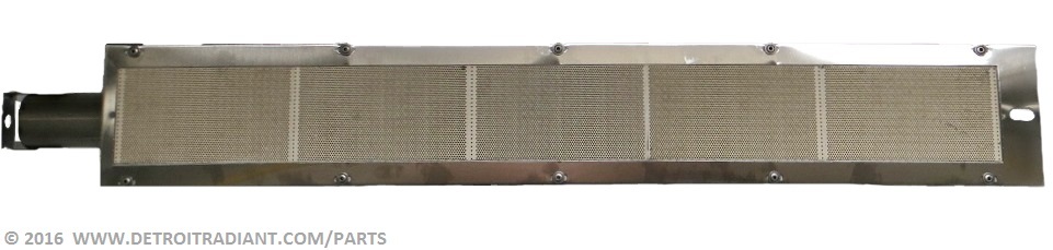 ph-1170.jpg