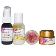 Honey Girl Organics, Organic Skin Care Kit, 4 Piece Kit