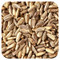 <img alt="Starwest Botanicals, Organic Milk Thistle Seed, 1 lb (453.6 g)" title="Starwest Botanicals, Organic Milk Thistle Seed, 1 lb (453.6 g),767963024633"
