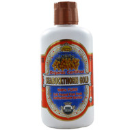 Dynamic Health  Laboratories, Organic Seabuckthorn Gold, 32 fl oz (946 ml)