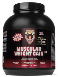 Healthy'N Fit Nutritionals Muscular Weight Gain V30 Rich Milk Chocolate -- 4.4 lbs