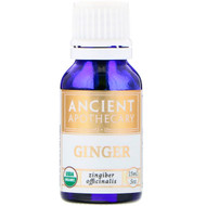 Ancient Nutrition Apothecary Organic Ginger -- 0.5 oz
