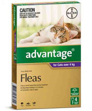 Advantage Cat 4kg+ Large Purple 4 Pack