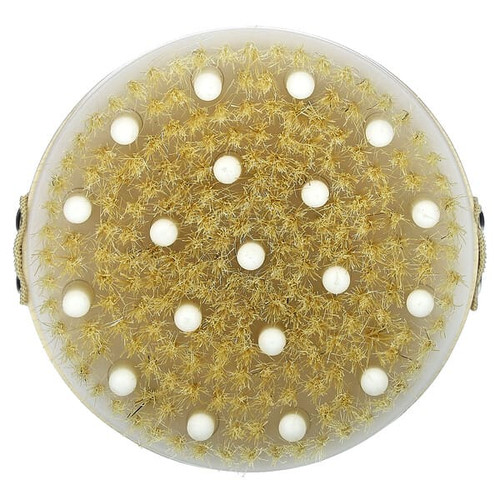 <img alt="AfterSpa, Detox Massage Brush, 1 Brush" title="AfterSpa, Detox Massage Brush, 1 Brush,741021003396"