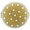 <img alt="AfterSpa, Detox Massage Brush, 1 Brush" title="AfterSpa, Detox Massage Brush, 1 Brush,741021003396" <img alt="AfterSpa, Detox Massage Brush, 1 Brush" title="AfterSpa, Detox Massage Brush, 1 Brush,741021003396"