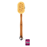 3 PACK OF KrogerKroger Cleanse Sea Foam Sponge Brush -- 1 Brush