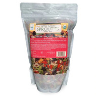 Gopals Sprouties Trail Mix Apple Raisin -- 16 oz