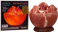 Aloha Bay Salt Bowl Lamp with Stones -- 1 Lamp