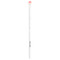 <img alt="3 PACK of wet n wild, Small Concealer Brush, 1 Brush" title="3 PACK of wet n wild, Small Concealer Brush, 1 Brush,077802478801" <img alt="3 PACK of wet n wild, Small Concealer Brush, 1 Brush" title="3 PACK of wet n wild, Small Concealer Brush, 1 Brush,077802478801"