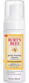 3 PACK of Burt's Bees Skin Nourishment Gentle Foaming Cleanser for Normal to Combination Skin -- 4.8 fl oz