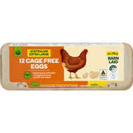 5 PACK of WW 12 Extra Large Cage Free Eggs 700g