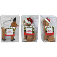 5 PACK of Christmas Jolly Animal Characters Assorted