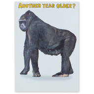 5 PACK of Recycled Paper Greetings Gorilla Birthday Card