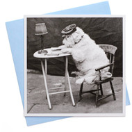 5 PACK of Camden Graphics Dog At Table