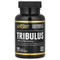 <img alt="California Gold Nutrition, Sport, Tribulus, 1,000 mg, 60 Tablets" title="California Gold Nutrition, Sport, Tribulus, 1,000 mg, 60 Tablets,898220006632"