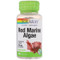 <img alt="Solaray, Red Marine Algae - 375 mg - 100 Capsules" title="Solaray, Red Marine Algae - 375 mg - 100 Capsules,076280014815"