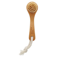 <img alt="AfterSpa, Facial Dry Brush, 1 Brush" title="AfterSpa, Facial Dry Brush, 1 Brush,741021006946"
