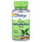 <img alt="Solaray, True Herbs, Sarsaparilla, 450 mg, 100 Vegcaps" title="Solaray, True Herbs, Sarsaparilla, 450 mg, 100 Vegcaps,076280015409" <img alt="Solaray, True Herbs, Sarsaparilla, 450 mg, 100 Vegcaps" title="Solaray, True Herbs, Sarsaparilla, 450 mg, 100 Vegcaps,076280015409"