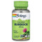 <img alt="Solaray, True Herbs, Burdock, 425 mg, 100 VegCaps" title="Solaray, True Herbs, Burdock, 425 mg, 100 VegCaps,076280011104"