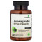 <img alt="Futurebiotics, Ashwagandha, 100 Vegetarian Capsules" title="Futurebiotics, Ashwagandha, 100 Vegetarian Capsules,049479502011"