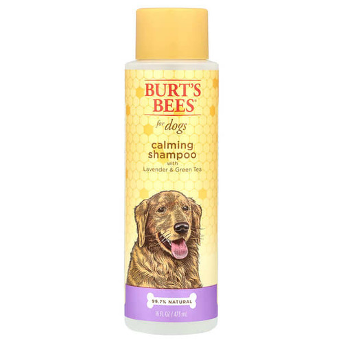<img alt="Burts Bees, Calming Shampoo For Dogs with Lavender & Green Tea, 16 fl oz (473 ml)" title="Burts Bees, Calming Shampoo For Dogs with Lavender & Green Tea, 16 fl oz (473 ml),742797758312"